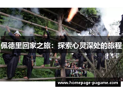 佩德里回家之旅：探索心灵深处的旅程