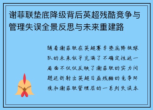 谢菲联垫底降级背后英超残酷竞争与管理失误全景反思与未来重建路