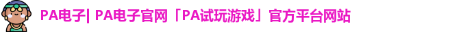PA电子